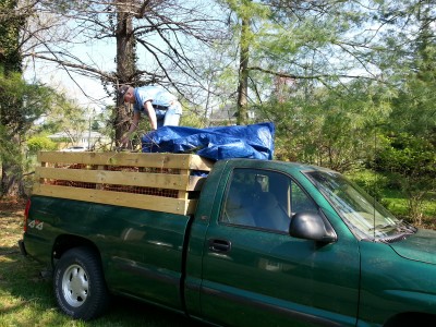 Loading brush on the truck